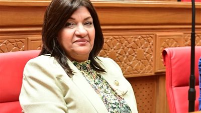 النائبة ايفلين متى تتقدم باقتراح برغبة للرقابة على الأسعار في الأسواق قبل صرف حزم الحماية الاجتماعية