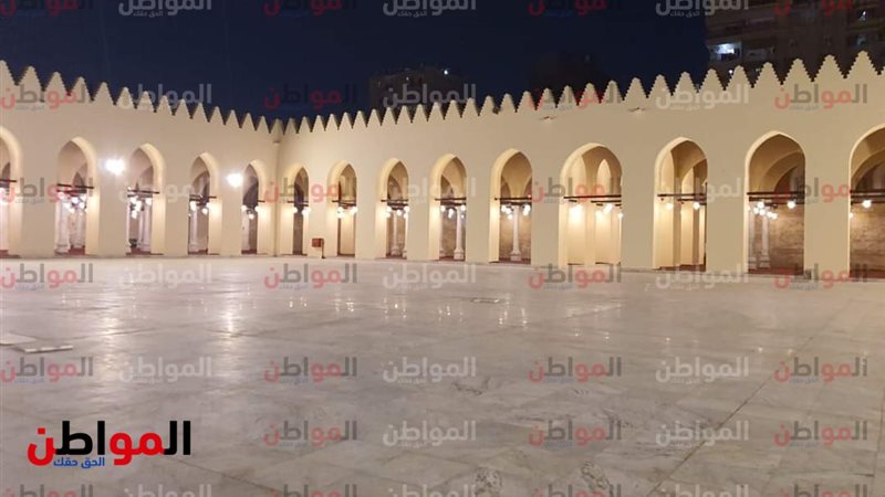 المواطن