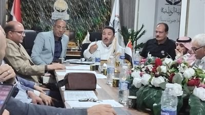 الجبهه الوطنيه بجنوب سيناء يستكمل سلسلة الاجتماعات التنظيمية مع الامانات ومساعدي الامناء بالمحافظه