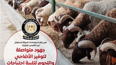 مجلس الوزراء : الدولة تكثف جهودها لتوفير الأضاحي واللحوم بأسعار مناسبة استعدادًا لعيد الأضحي