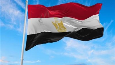 الخارجية المصرية ترد 