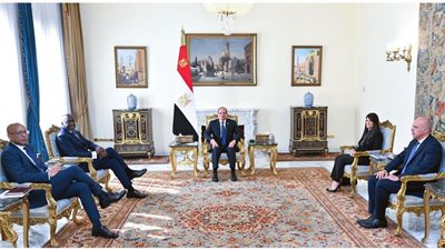 الرئيس عبد الفتاح السيسي يستقبل الرئيس التنفيذي لمؤسسة التمويل الدولية