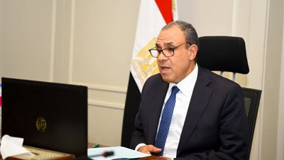 وزير الخارجية والهجرة يشارك في اللقاء الافتراضى مع الجالية المصرية في المملكة المتحدة