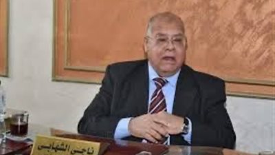 الشهابي : يشيد بالبيان العربي المشترك ويدعو لتنسيق أوسع لمواجهة الانتهاكات الإسرائيلية