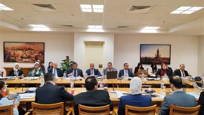 انعقاد اللجنة الدائمة لمتابعة العلاقات المصرية الإفريقية