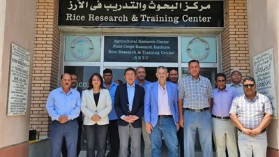السفير السنغافورى بمصر يزور مركز بحوث وتدريب الأرز التابع لمركز البحوث الزراعية في كفر الشيخ