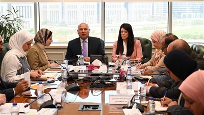 وزير الصناعة والنقل ووزيرة التخطيط والتنمية الاقتصادية والتعاون الدولي في اجتماع تنسيقي 