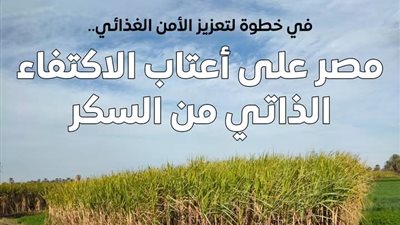 المركز الإعلامي لمجلس الوزراء: مصر على أعتاب الاكتفاء الذاتي من السكر