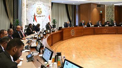 تعزيز العلاقات التاريخية بين  مصر و السودان والحرص المتبادل على إكسابها مزيداً من الخصوصية