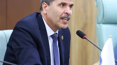 قرار وزير المالية رقم ٣١٠ لسنة ٢٠٢٥