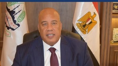رئيس الغرفة التجارية للقاهرة يشيد بتوجه الدولة لمعالجة خام الحديد