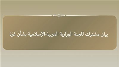 بيان مشترك صادر عن وزراء خارجية اللجنة العربية الإسلامية بشأن غزة
