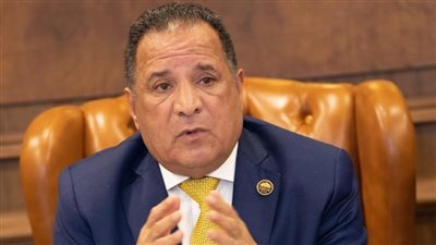 محمد صلاح أبو هميلة أشاد بكلمة السيسي الداعمة لحق الشعب الفلسطيني