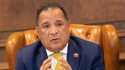 أبو هميلة: زيارة ملك إسبانيا وقرينته لمصر تعمق التعاون الثنائي