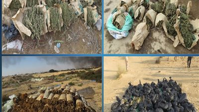 ضربات استباقية قوية لوزارة الداخلية تسقط تشكيلات إجرامية