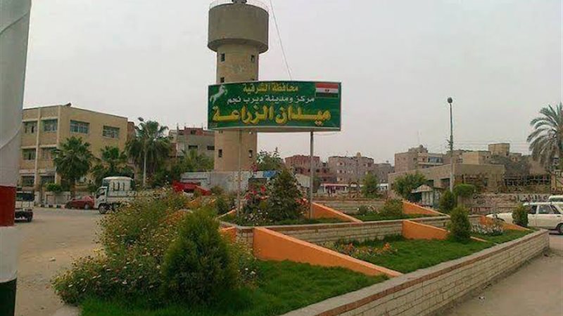 مدينة ديرب نجم