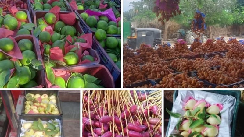 أسعار الخضروات والفواكه