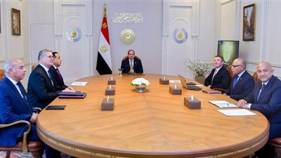 الرئيس السيسي يستقبل نائب رئيس شركة 