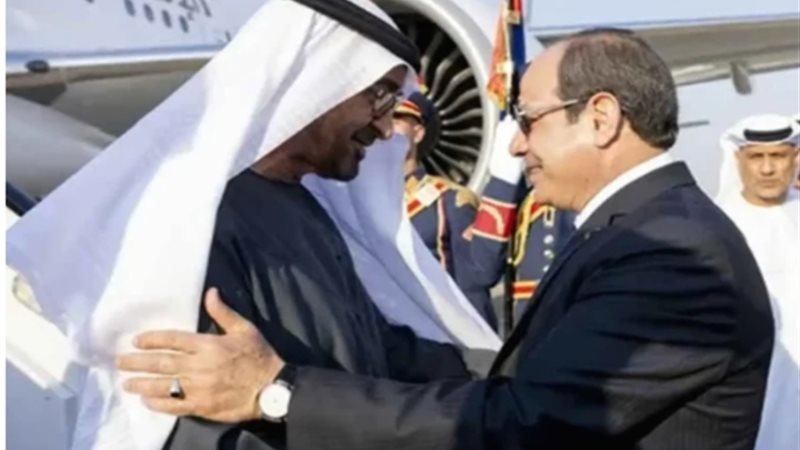 الرئيس السيسي والشيخ