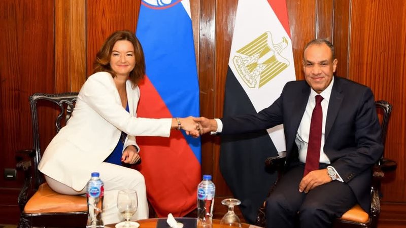 وزير الخارجية المصري