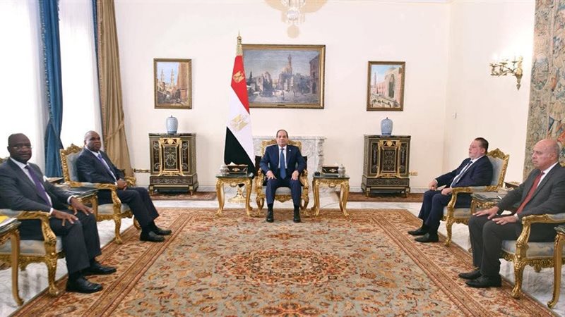 لقاءات الرئيس السيسي