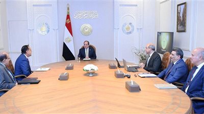 الرئيس السيسي يوجه بتطوير قطاع الطيران المدني وتعزيز الاستثمارات 