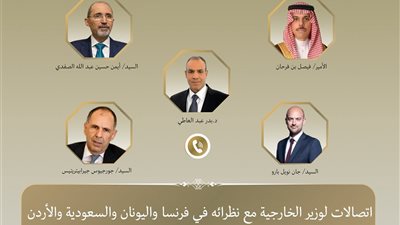 وزير الخارجية: اتصالات مكثفة لتعزيز التنسيق الإقليمي والدولي تجاه القضايا العربية 