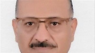 شاذلي القرباوي: افتتاح المتحف الكبير حدث عالمي استثنائي يجسد عظمة الحضارة المصرية