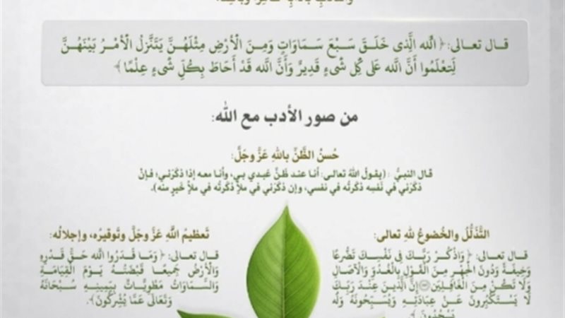المواطن