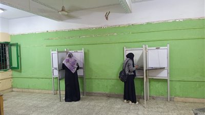 لليوم الثاني مركز البدرشين بجنوب الجيزة يشاهد مشاركة المواطنين في الانتخابات 