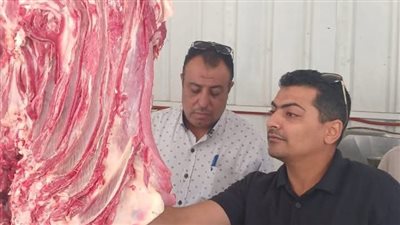 ضبط كميات كبيرة من اللحوم المذبوحة خارج المجازر بمحافظة المنوفية