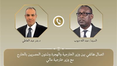 وزير الخارجية المصري يبحث مع نظيره المالي سبل تعزيز العلاقات الثنائية