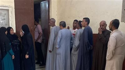 إقبال كبير في اللجان الانتخابية بأسوان للتصويت في انتخابات مجلس النواب 