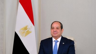 بيان صادر عن الرئيس السيسي بشأن أحداث الدوائر الإنتخابية والمرشحين الفرديين 
