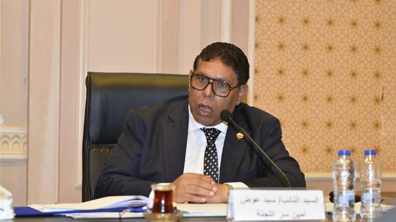 النائب سيد عوض 