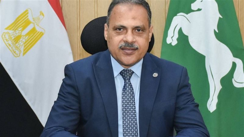 محافظ الشرقية