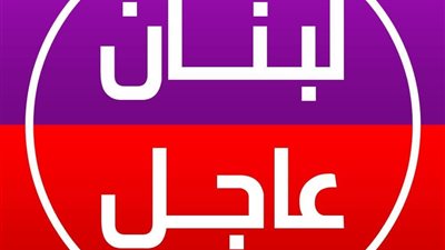 لجنة الحوار اللبناني الفلسطيني تستنكر الجريمة في مخيم عين الحلوة
