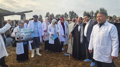بيطري الشرقية ينفذ حملات مكثفة لحماية الثروة الحيوانية: وضبط اطنان لحوم فاسده