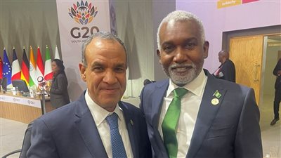 وزير الخارجية يبحث مع نظيره النيجيري تعزيز العلاقات الثنائية وتطورات القضايا الإقليمية