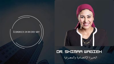 الدكتورة شيماء وجيه الشراكه المصرية الكورية دفعه تكنولوجيه وصناعته تعزز خريطة الاستثمار