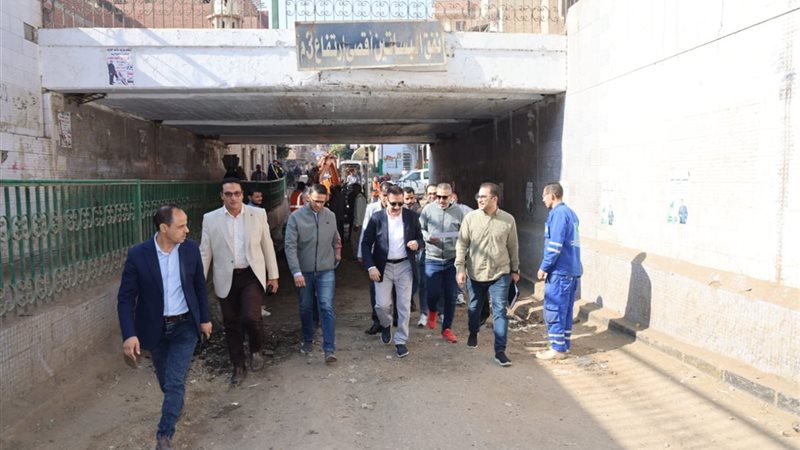 محافظ المنوفية 