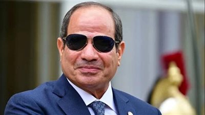 مفتشو الأغذية يناشدون الرئيس السيسي دعم أجهزة الرقابة  مع هيئة سلامة الغذاء