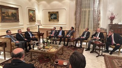 وزير الخارجية المصري يلتقي أعضاء مجلس النواب اللبناني في بيروت لدعم الاستقرار