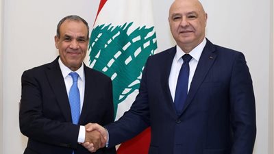 وزير الخارجية المصري يلتقي الرئيس اللبناني في بيروت لتعزيز العلاقات ودعم الاستقرار