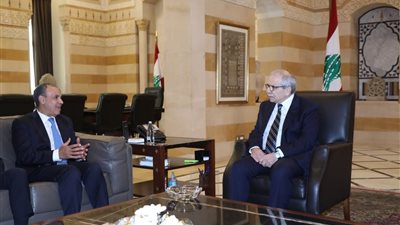 وزير الخارجية المصري يلتقي رئيس مجلس الوزراء اللبناني في بيروت