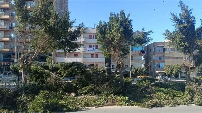 مركز ومدينة كفر صقر