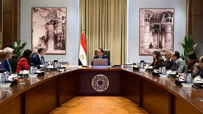 رئيس الوزراء يلتقي مسئولي شركة 