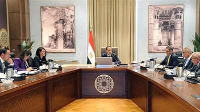 رئيس الوزراء يستعرض الهيكل التنظيمي لوحدة إعادة هيكلة الشركات المملوكة للدولة 