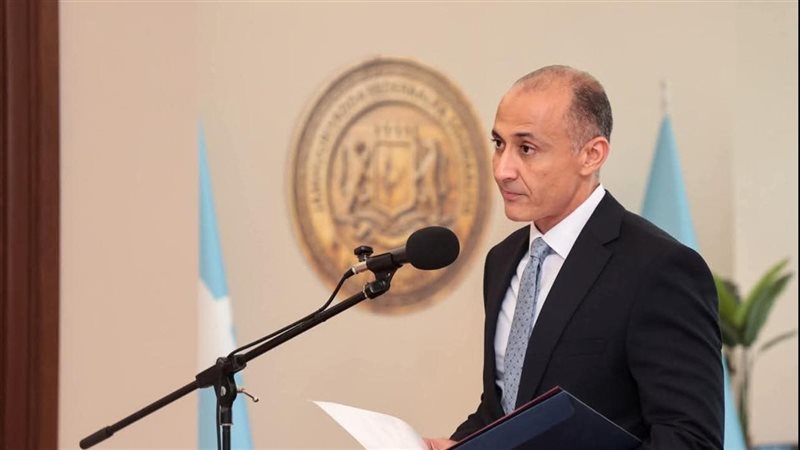 السفير المصري 