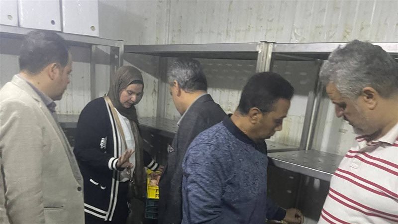 الدقهلية 